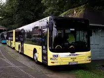 MAN Lions City Maxi Train am 11.09.11 in Frankfurt Schwanheim 