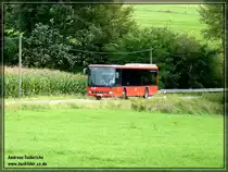 In der nhe von Kyllburgweiler wurde dieser Setra S 315 NF der RMV Fotografiert.  Er fuhr am  14.09.2011 auf der Linie nach Daun.