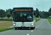 MAN der RVK bei Euskirchen - 25.08.2011
