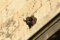 Am Rathenauplatz in Weimar finden sich noch zahlreiche �berreste der Obus- und Stra�enbahnvergangenheit Weimars. So z.B. dieser Wandhaken am 28.09.2011.
