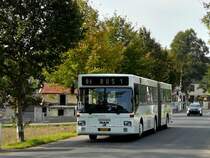Zum Sch�lertransport wurde dieser MAN Gelenkbuss am 17.10.2011 eingesetzt. Aufgenommen in der N�he von Moesdorf.