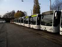 Mercedes Benz Citaro C1 Facelift Parade am 11.11.11 in Mannheim bei Evo Bus 