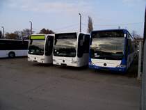 Drei neue Mercedes Benz Citaro C1 Facelift am 11.11.11 in Mannheim 