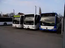 Drei neue Mercedes Benz Citaro C1 Facelift am 11.11.11 in Mannheim 