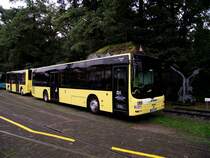 MAN Lions City mit G�ppel Maxi Train am 11.09.11 in Schwanheim von Stroh Bus 