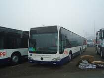 TPG Gen�ve - Nr. 1175 - Mercedes Citaro am 23. November 2011 in Wil, Larag