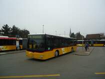 PostAuto Z�rich - Nr. 211/ZH 780'794 - MAN (ex Nr. 8) am 24. November 2011 beim Bahnhof B�lach