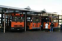 Hier stehen einmal alle drei Typen zusammen, die im Linienverkehr auf Capri eingesetzt werden. Von links Iveco Tector, Iveco 90-14 und Fiat Midi. Die Ausnahme bilden nur die zwei Mercedes-Benz Vario 818, die von Anacapri aus verkehren. Capri Centro, 10.02.2008