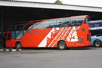 Bus Nr. 443-24, eingesetzt auf der Strecke Hat Yai-Phuket am 10.J�nner 2012 im Busterminal von Phuket Town.