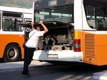 Durbovnik - Cavtat, 11.07.2011, MAN Lions Classic