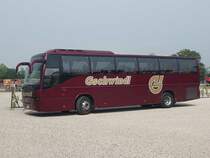 VOLVO 9700H der Verkehrsbetriebe Gschwindl am 23. September 2010 in Livorno