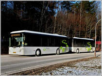 (SL 4009)  Am 10.02.2012 gelang es mir endlich diesen Bus der Marke Gppel Typ go4city10 mit Hnger der Firma Frisch auf dem Chip festzuhalten.