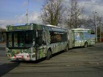 Neoplan Gelenkbus,Bogestra Wagen 0064,Linie 368 von Wanne Eickel Hbf. nach Bochum Harpen Ruhrpark.(25.02.2008)
