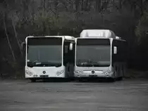 Mercedes Benz Citaro C2 und C1 Facelift am 28.01.11 in Mannheim 
