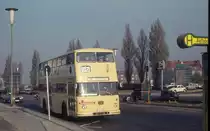 Berlin BVG Buslinie 66 (Doppeldeckbus f�r Einmannbetrieb) Messedamm am 4. November 1973.