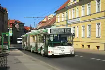 MAN NGE 152, Obus 033 der BBG-Eberswalde ist einer der letzten 4 MAN-Obusse in Eberswalde. Hier zeigt er sich am 19.03.2012 an der Haltestelle Schneiderstra�e.