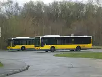 Mercedes-Benz O 530 II (Citaro Facelift) auf der Linie 156 nach S-Bahnhof Storkower Strae an der Haltestelle Weiensee Stadion Buschallee/Hansastrae.(16.4.2012)