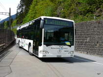AAGU - Mercedes Citaro Nr.41  UR 9141 unterwegs zwischen Intschi und Amsteg am 08.05.2012