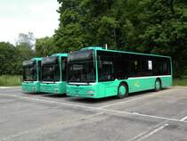 Drei MAN Lions City auf einem Parkplatz in der Nhe vom Zeughaus Basel. Die Aufnahme stammt vom 31.05.2012.