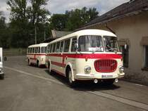 Skoda 706 RTO mit Bushnger Jelcz P01E am 02.06.2012 beim Chemnitzer Straenbahnfest.