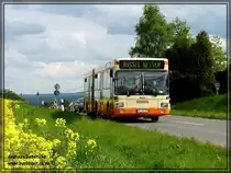 Bei einer Sonderfahrt konnte ich dieses Bild von einen MAN SG 312 ex RVK  in der nhe von Dren am 19.05.2012 machen