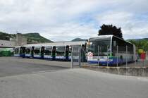 TPL, Lugano. Mercedes-Benz Citaro G II (Nr.429-Nr.436) kurz nach der Ablieferung in Lugano, Resega.