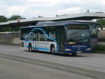 Mercedes-Benz O 530 I (Citaro) auf der Linie 227 nach Bergisch Gladbach, Moitzfeld am S-Bahnhof Leverkusen Mitte.(9.7.2012)
 
