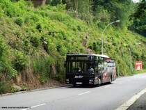 MAN NL263 wie Stadtlinie  A  in Annaberg-Buchholz, Bruno-Mathes-Strasse.