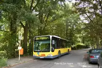 Wagen 1656 (MB Citaro O530 / MB EN06) im August 2012 auf der Linie 168 an der Haltestelle Zeuthener Weg.