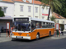 MAN von die Firma Libertas Dubrovnik, Aufnahme am 01.08.2007