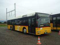 Schwizer, Goldach - SG 50'508 - MAN am 12. September 2012 in Wil, Larag