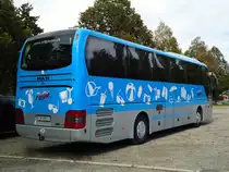 Ryffel, Uster - Nr. 15/ZH 8511 - MAN am 18. Oktober 2012 in Thun, Lachenwiese