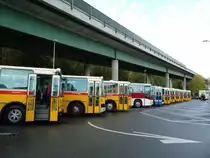 1. Saurer RH-Treffen: Alle 12 teilnehmenden Fahrzeuge auf einem Bild - Saurer RH's von 1979 bis 1985 am 21. Oktober 2012 in Flamatt, Bernstrasse