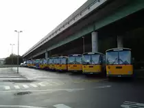 1. Saurer RH-Treffen: Alle 12 teilnehmenden Fahrzeuge auf einem Bild - Saurer RH's von 1979 bis 1985 am 21. Oktober 2012 in Flamatt, Bernstrasse