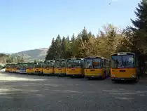 1. Saurer RH-Treffen: Alle 12 teilnehmenden Fahrzeuge auf einem Bild - Saurer RH's von 1979 bis 1985 am 21. Oktober 2012 in Schwarzsee, Schwyberg