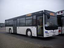 MAN Lion's City vom Reisedienst Teske aus Deutschland in Bergen am 22.02.2012