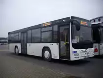 MAN Lion's City vom Reisedienst Teske aus Deutschland in Bergen am 22.02.2012