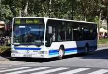 MB O 530 Citaro  Wallmeroth , AK-W 596 in Bonn - 07.09.2012