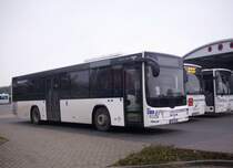 MAN Lion's City der RPNV in Bergen am 26.10.2011