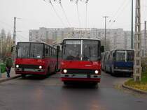 Ikarus 280T und Ikarus 280, BKV Budapest #225 und #275 #00-03, 26.11.2012, �rs vez�r tere Budapest.