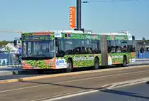 MAN Lion`s City NG 313 der SWB, BN-SW 4371 auf der Kennedybr�cke - 01.10.2012