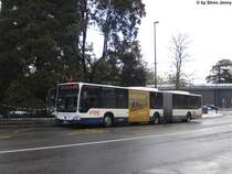 tpg Nr. 1186 (Mercedes CitaroII O530G) am 8.12.12 beim Jardin Botanique