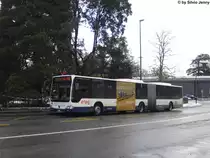 tpg Nr. 1186 (Mercedes CitaroII O530G) am 8.12.12 beim Jardin Botanique