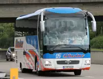 MAN Lion's Coach, Rinder, autoroute Berne  B�le 15.09.2012