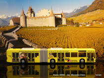 Rietze  66699  Mercedes Citaro  der tpg