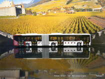 Rietze 67037  Mercedes Citaro  der tpf