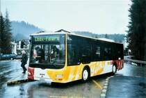 Stuppan, Flims GR 161'644 MAN/G�ppel am 1. M�rz 2008 Laax, Murschetg