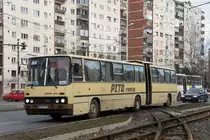 Rumänien / Bus Arad: Ikarus von PITO TRANS S.R.L. ARAD, aufgenommen im Januar 2012 im Stadtgebiet von Arad.