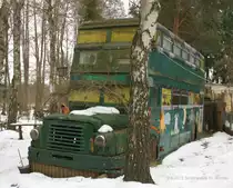 2.4.2013 Sch�nwalde bei Bernau. Alter DD auf Wochenendgrundst�ck - Position ohne Birke gab´s nicht.