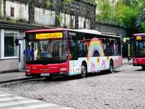 MAN Niederflurbus 3. Generation (Lion's City) auf der Linie 784 nach S-Bahnhof D�sseldorf-Bennrath am S-Bahnhof Wuppertal-Vohwinkel.(12.5.2013) 